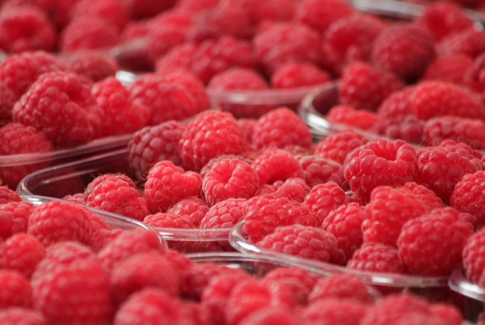 raspberries-378259_1920-700x469